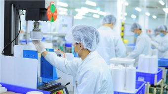 嘉定區危廢處置合同技術服務 專業、安全、高效——歡迎咨詢錦梅供應信息技術咨詢服務